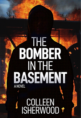 The Bomber in the Basement - book cover
